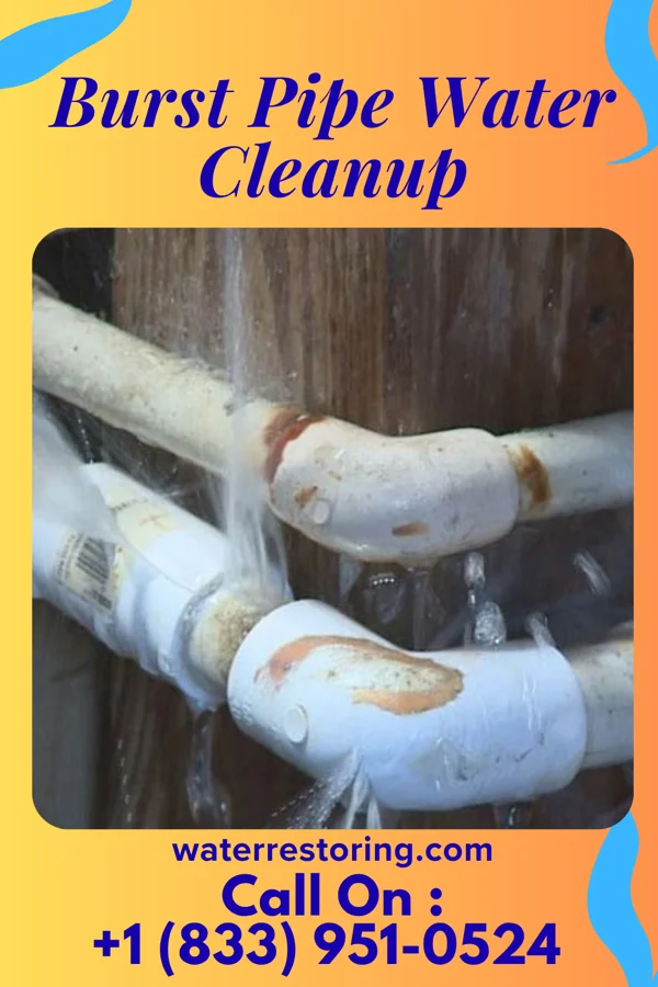 Burst Pipe Water Cleanup in Taylor, MS