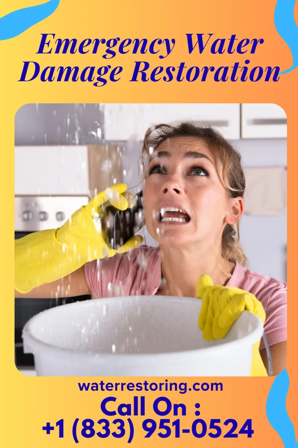 Emergency Water Damage Restoration in Taylor, MS
