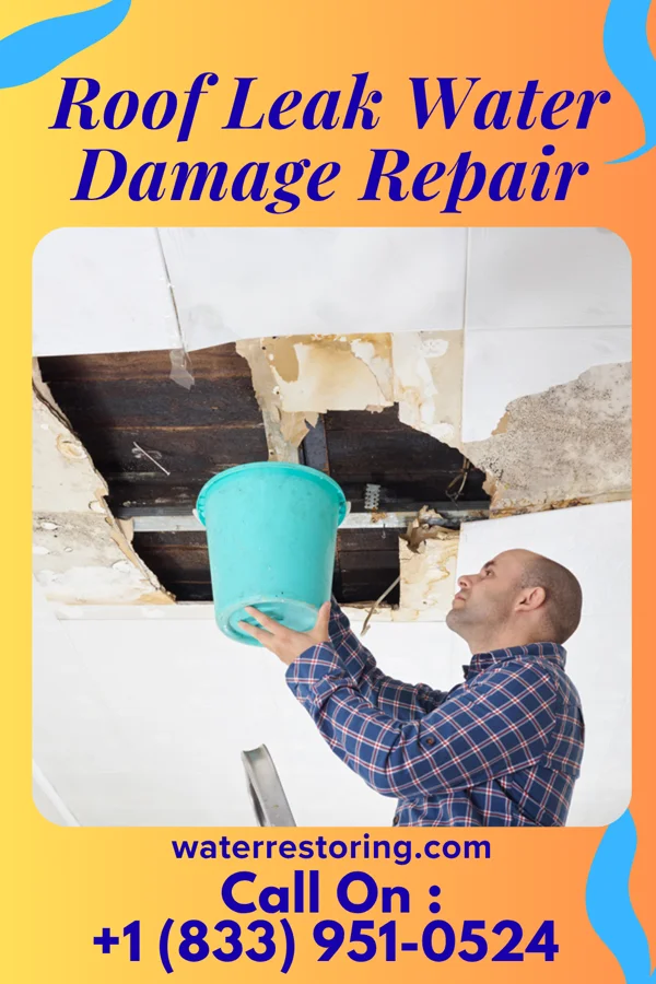 Roof Leak Water Damage Repair in Taylor, MS
